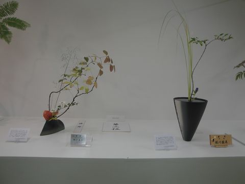 DSC04043