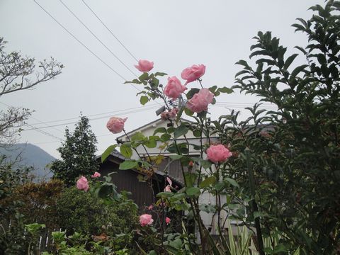 DSC04061