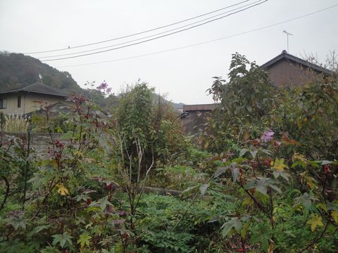 DSC04057