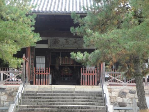 DSC03981
