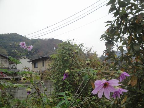 DSC04055