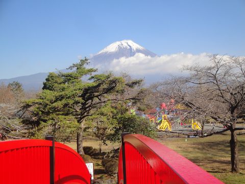 DSC04392