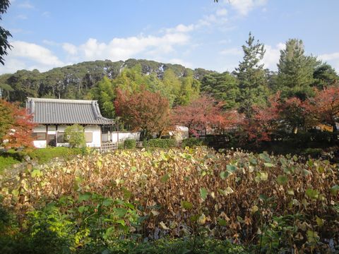 DSC03971