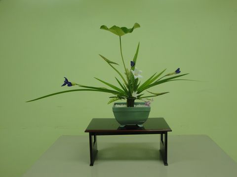 DSC02986