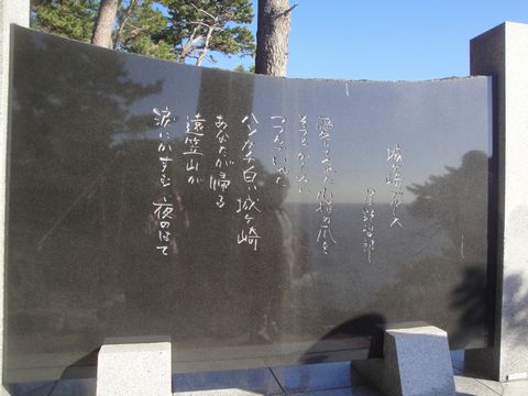 DSC04155