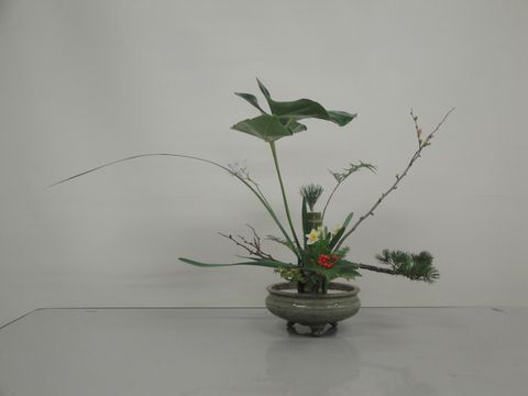 DSC04591
