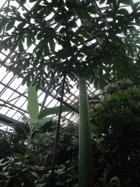 DSC03164