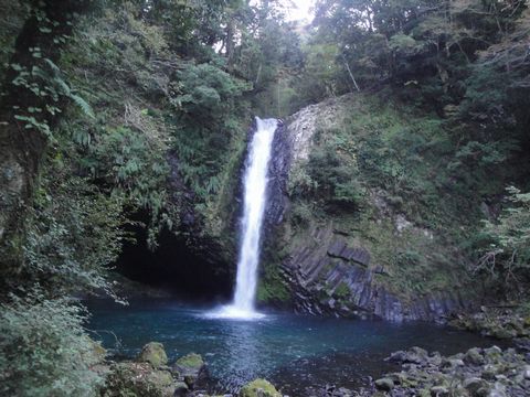 DSC04124