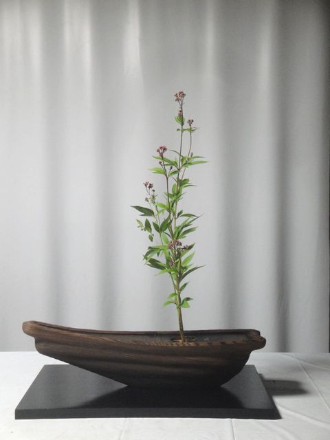 DSC03140