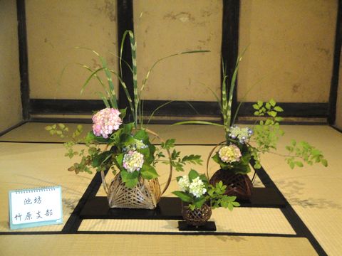 DSC02471
