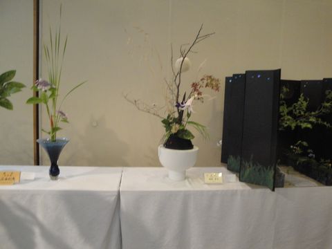 DSC02531