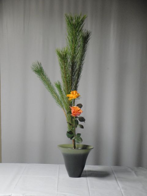 DSC04785