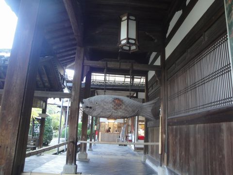 DSC03991
