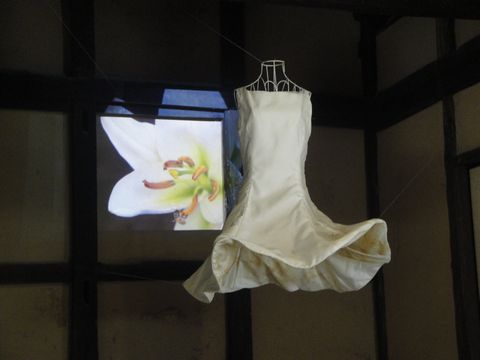 DSC03027