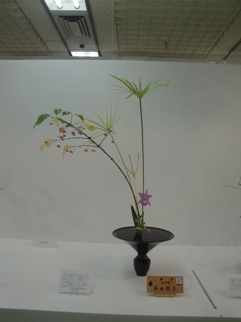 DSC04038