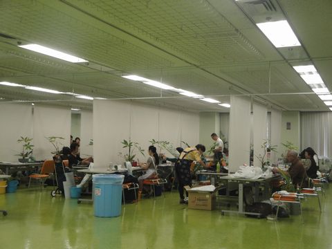 DSC02979