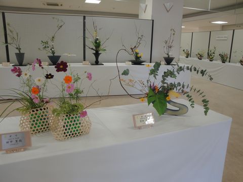 DSC03368