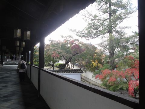 DSC03986