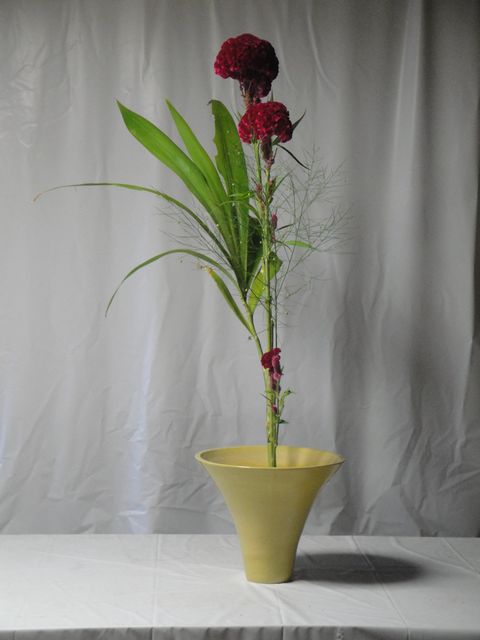 DSC03010