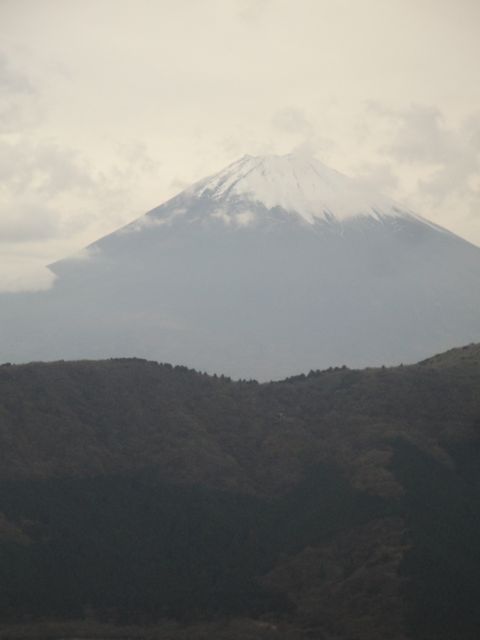 DSC04209