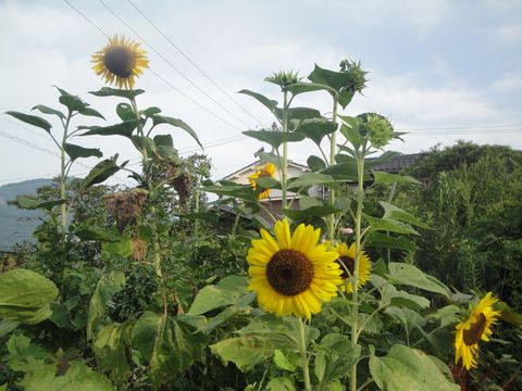 DSC02832