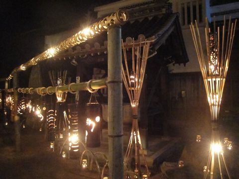 DSC03713