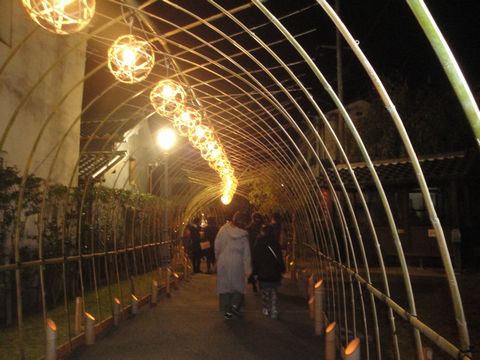 DSC03747