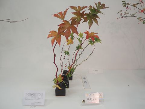 DSC04040