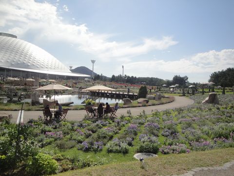 DSC03194