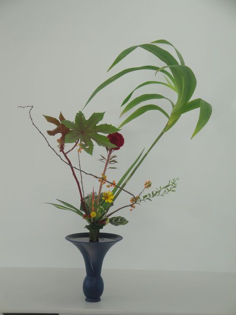 DSC03004