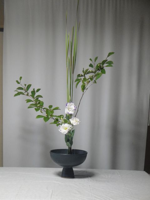 DSC02790