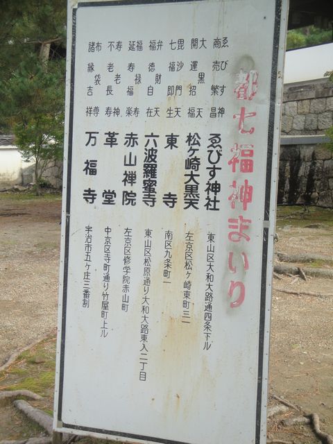 DSC03982