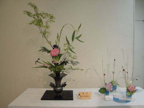 DSC02538