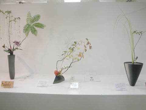 DSC04042