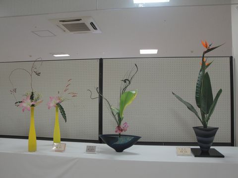 DSC03360