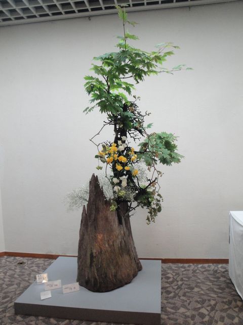 DSC02530