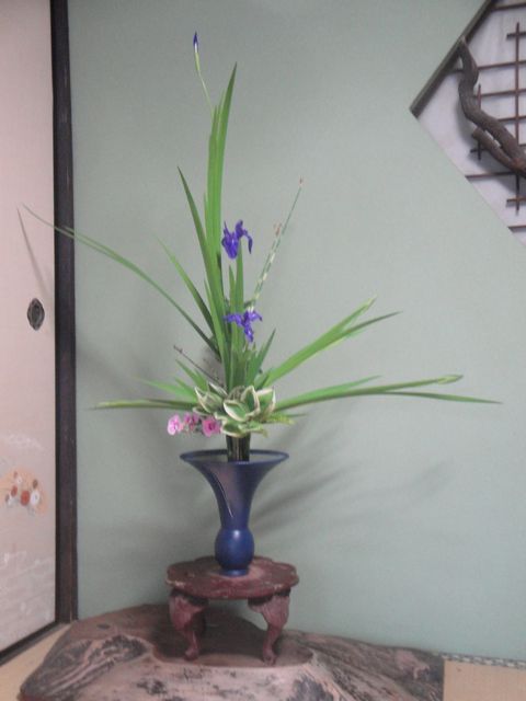 燕子花（かきつばた）の立花を活けました : 花と短歌と竹原と