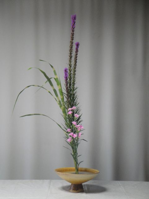 DSC02560