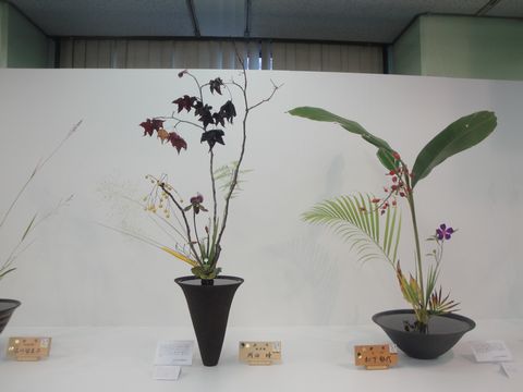 DSC04020