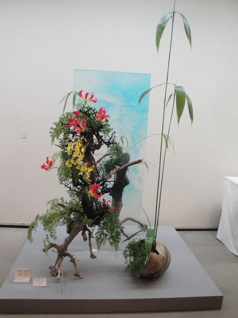 DSC02536