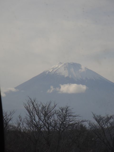 DSC04175