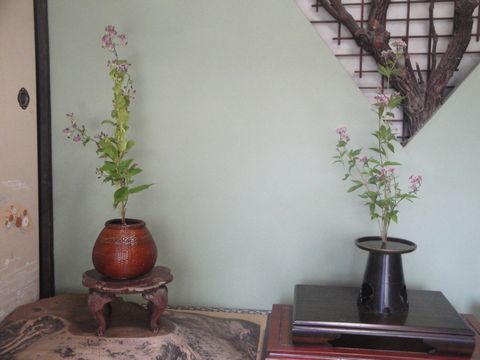 DSC03453
