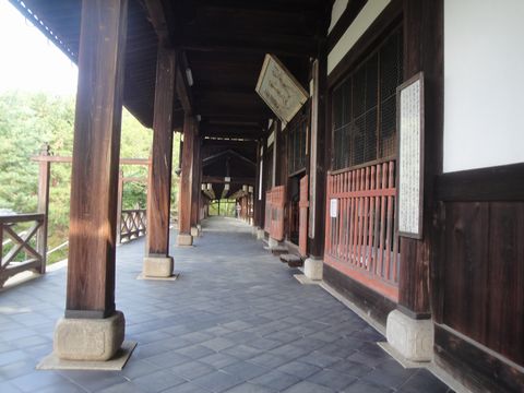 DSC03983