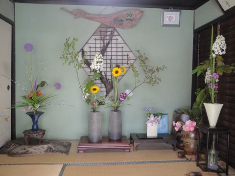 DSC02486