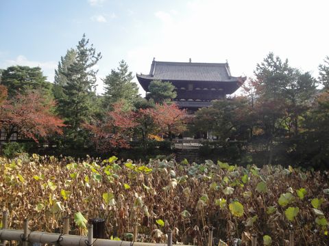 DSC03968