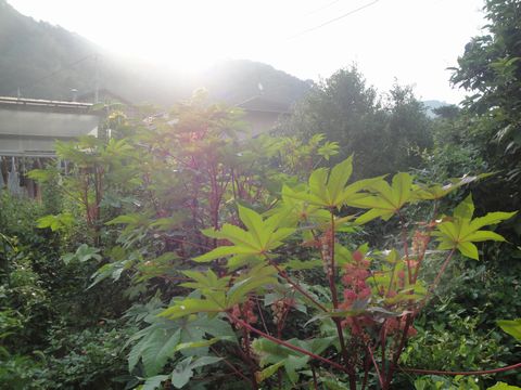 DSC02836