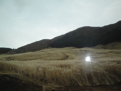DSC04215