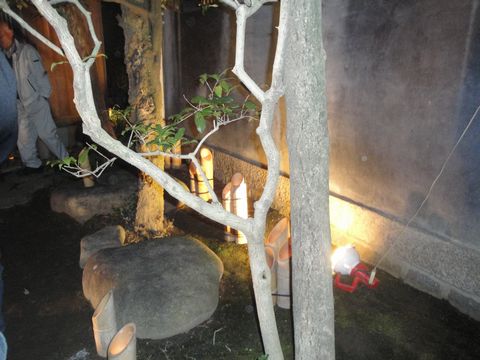 DSC03736
