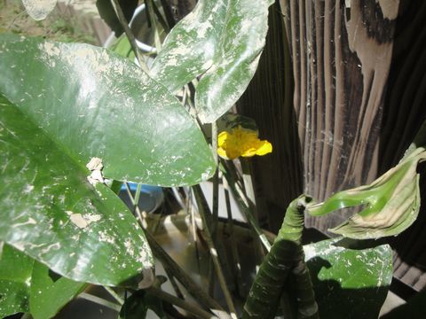 DSC02776