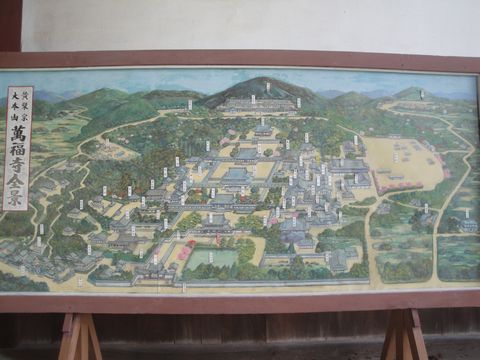 DSC03976